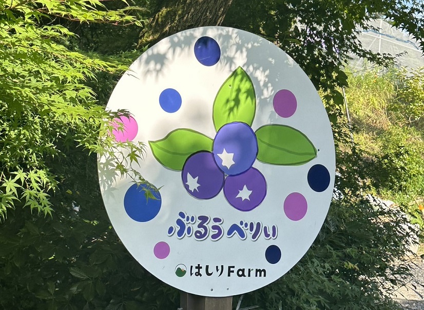 はしりFarm　ブルーベリー観光農園