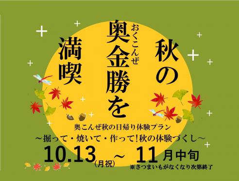 奥こんぜ秋の日帰り体験プラン～掘って・焼いて・作って!秋の体験...