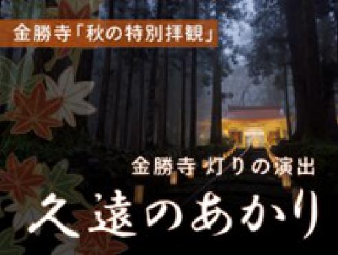 金勝寺「秋の特別拝観」・令和7年あかりの演出 「久遠の灯り」