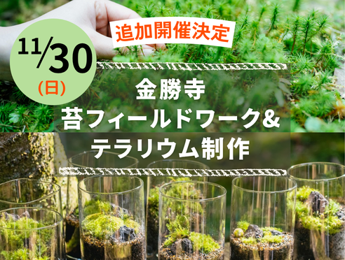 お申込受付中【11/30】金勝寺 苔フィールドワーク&テラリウムワ...