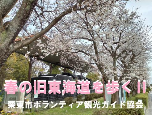 栗東市ボランティア観光ガイド協会「春の旧東海道を歩くⅡ」