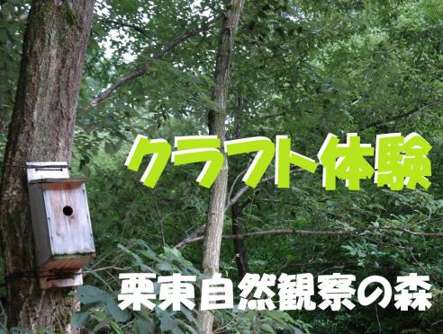 栗東自然観察の森だより令和8年6月のクラフト体験のご案内