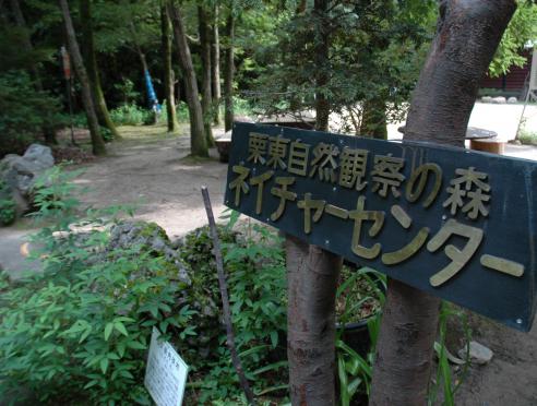 栗東自然観察の森だより令和8年8月のイベントのご案内
